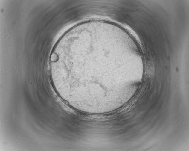 X0000085281287200704092156