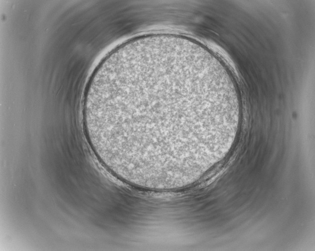 X0000085281288200704092156