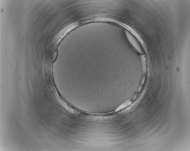 X0000085281289200704092156