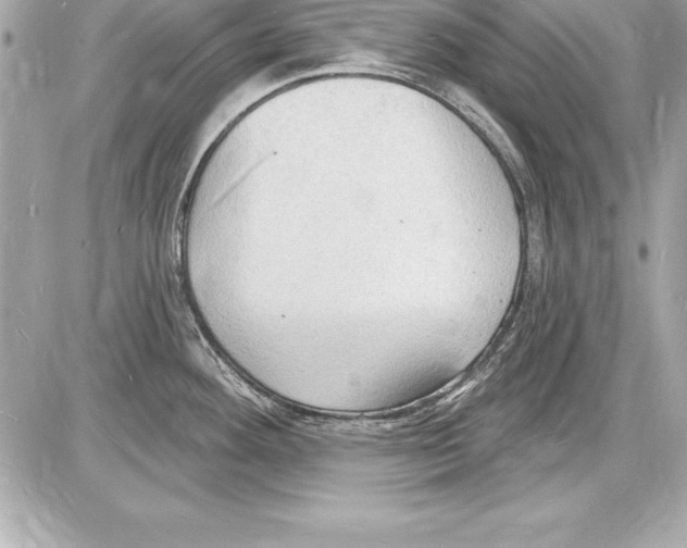 X0000085281292200704092156