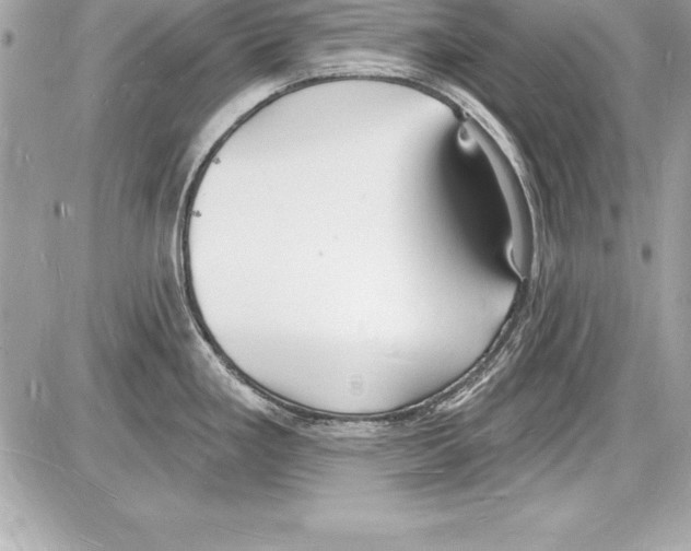 X0000085281293200704092156