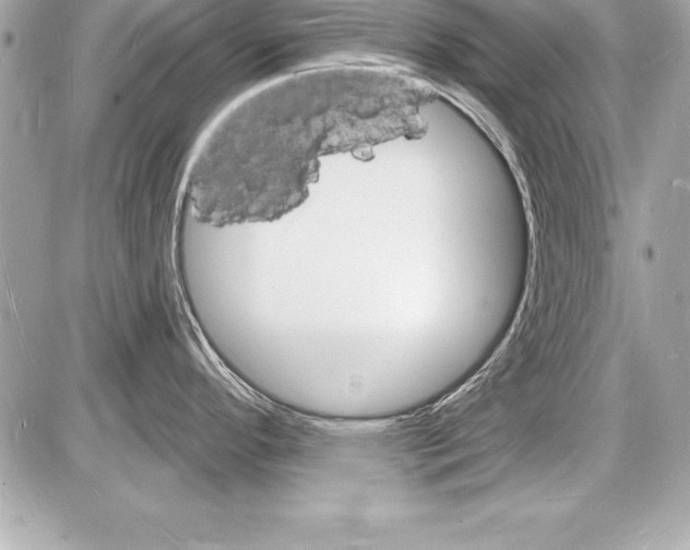 X0000085281296200704092156