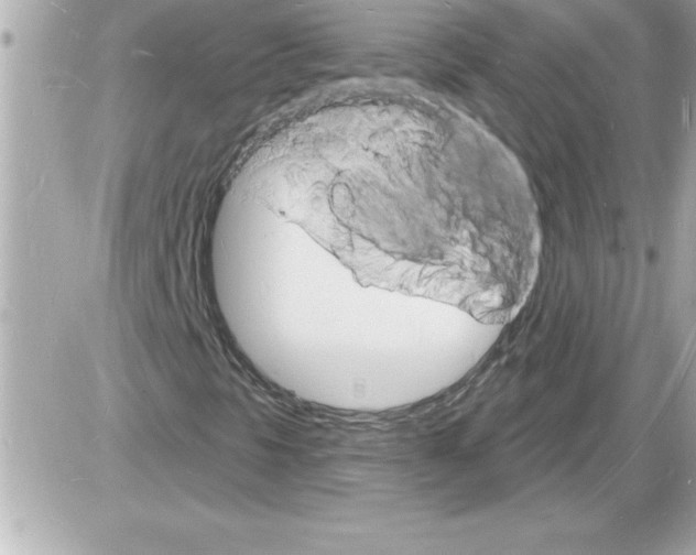 X0000085281297200704092155