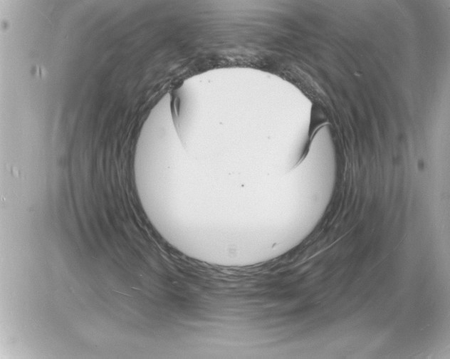 X0000085281298200704092155