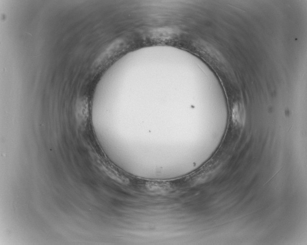 X0000085281299200704092156