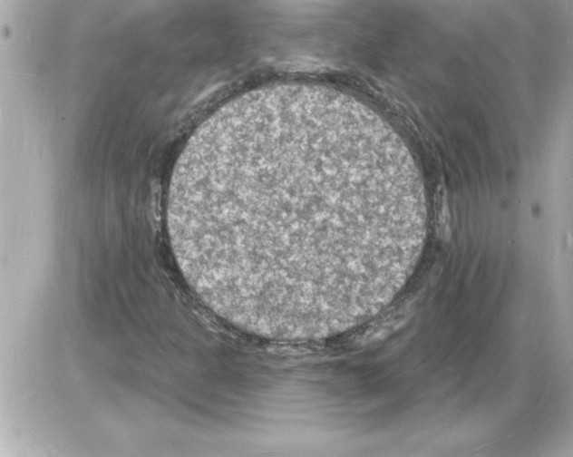 X0000085281301200704092156