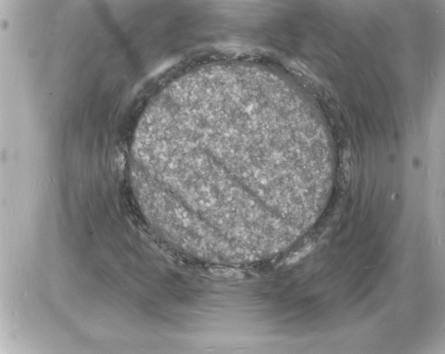 X0000085281302200704092156