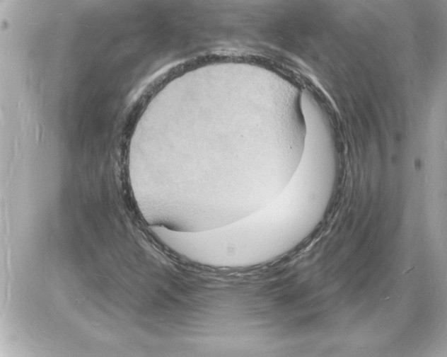 X0000085281304200704092156