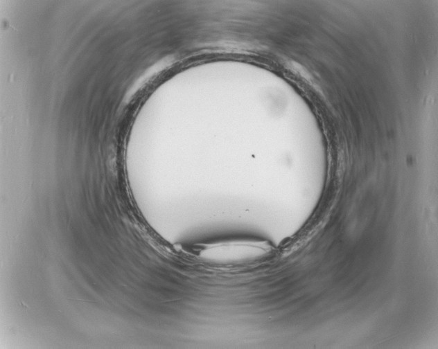 X0000085281307200704092156