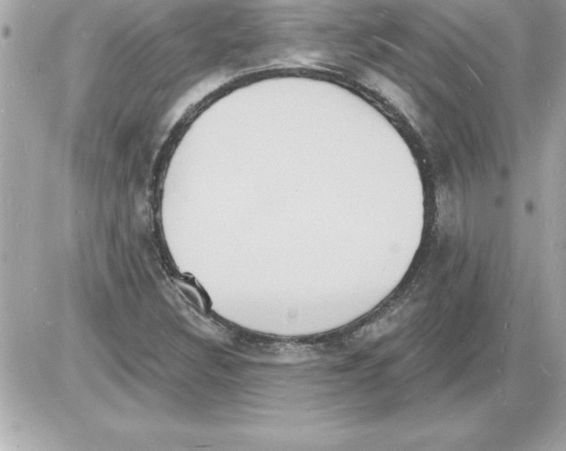 X0000085281308200704092156