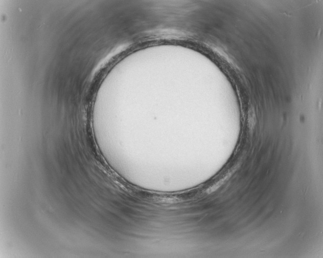 X0000085281309200704092156