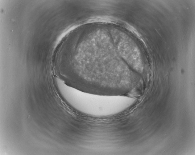 X0000085281312200704092156