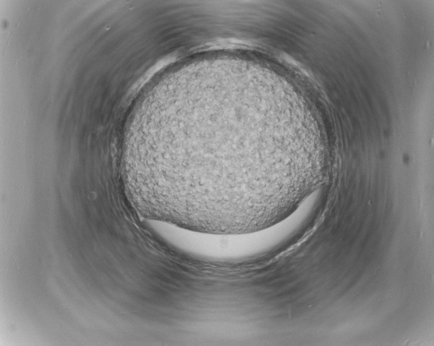 X0000085281313200704092156