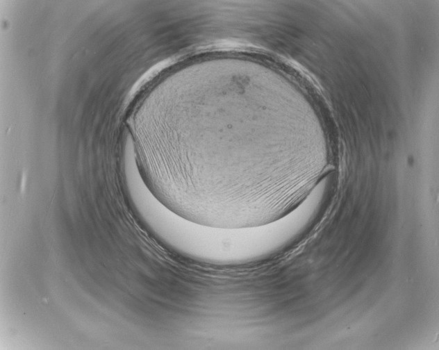 X0000085281314200704092156