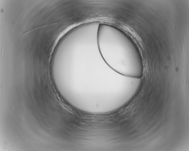 X0000085281316200704092156