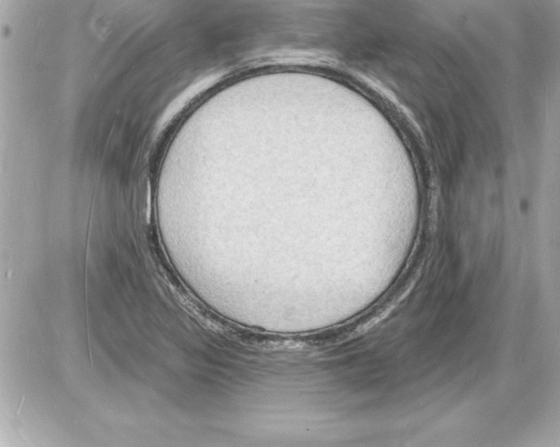 X0000085281317200704092156