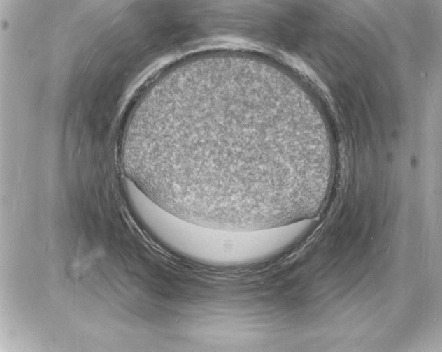 X0000085281318200704092156