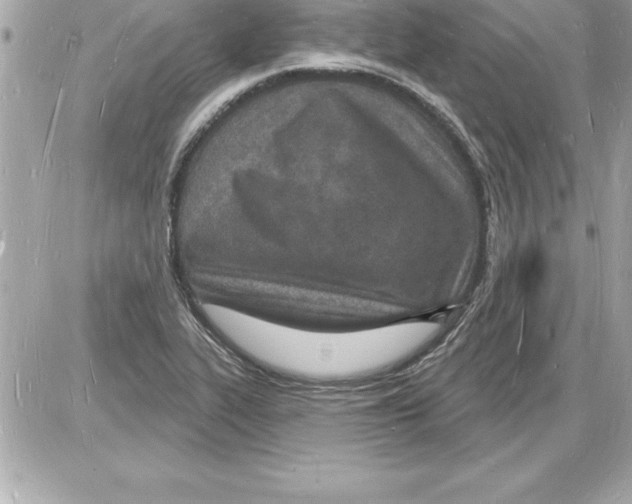 X0000085281319200704092156