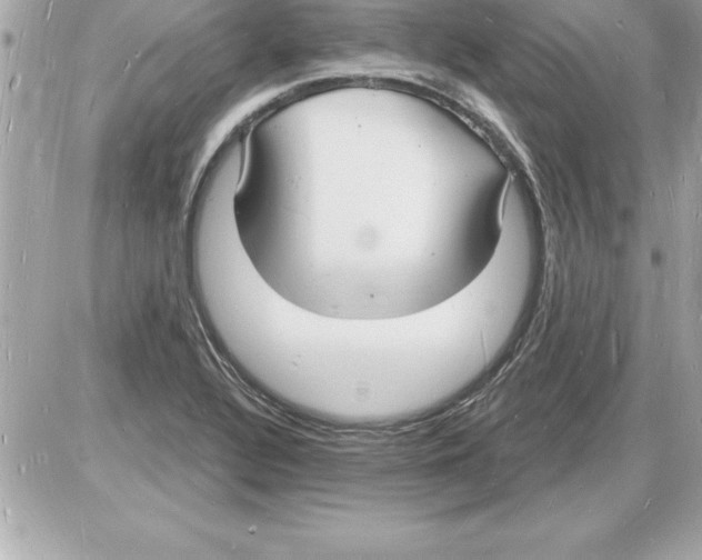 X0000085281320200704092156