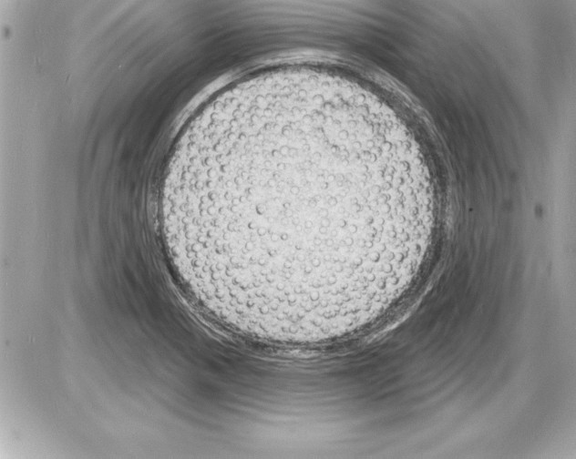 X0000085281321200704092156