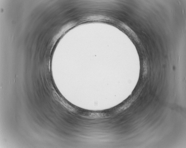 X0000085281322200704092156