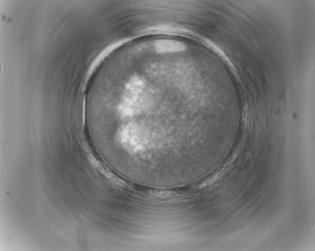 X0000085281323200704092156