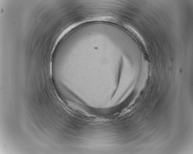 X0000085281324200704092156