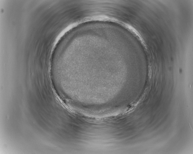 X0000085281326200704092156