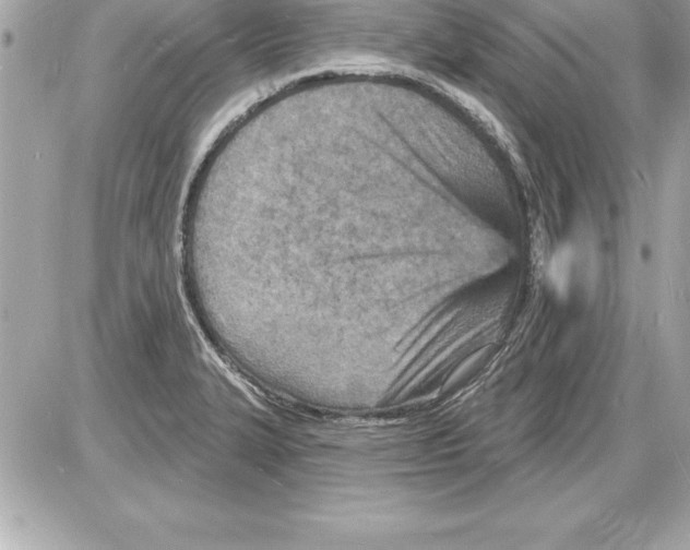 X0000085281327200704092156