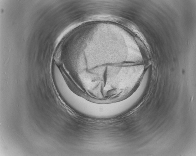 X0000085281328200704092156