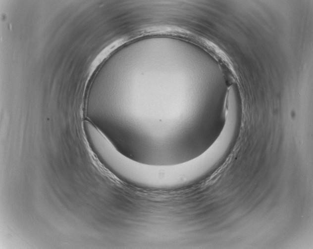 X0000085281330200704092156