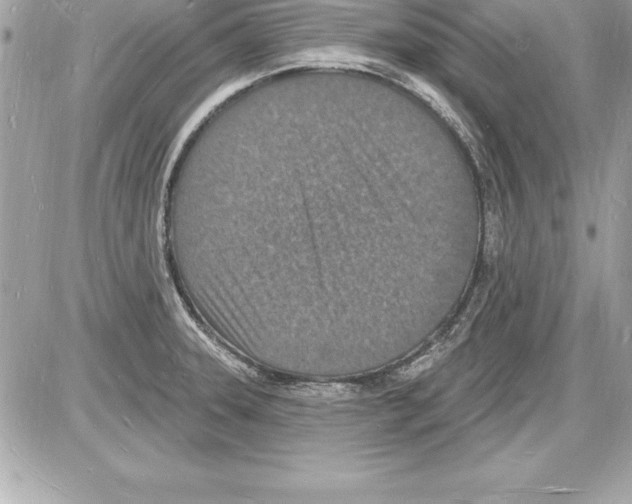 X0000085281331200704092156