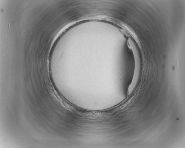 X0000085281332200704092156