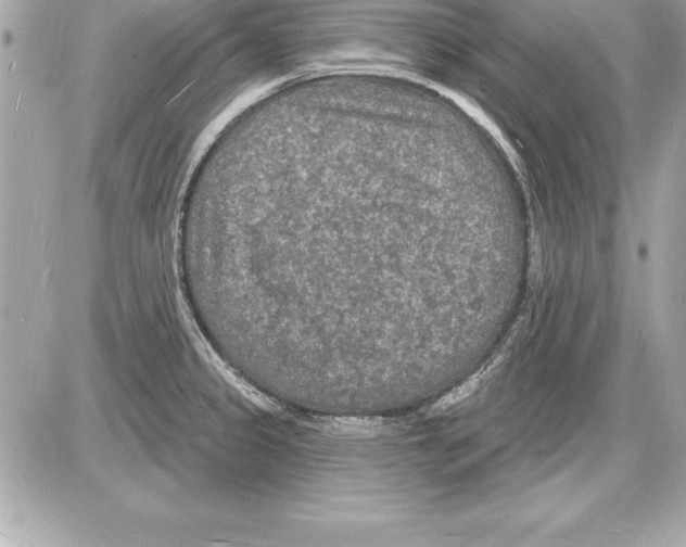 X0000085281333200704092156