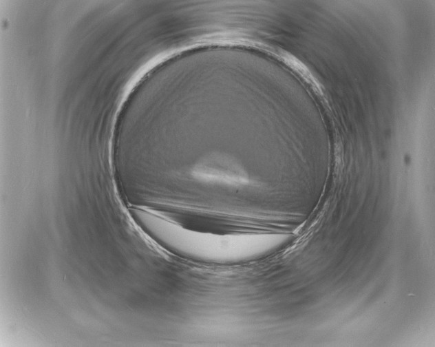 X0000085281334200704092156