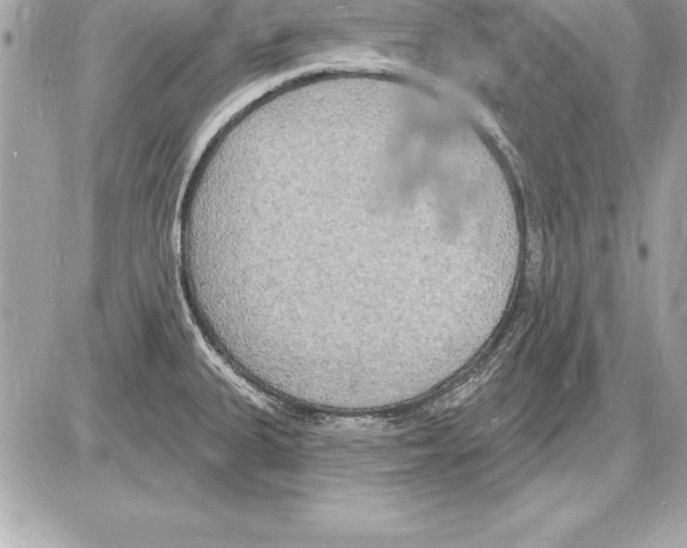 X0000085281335200704092156