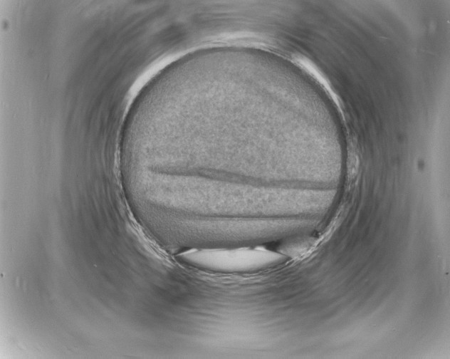 X0000085281336200704092156