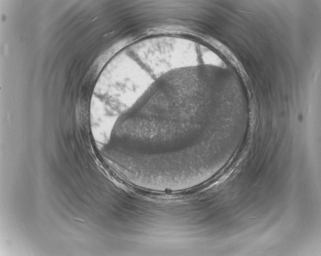 X0000085281337200704092156