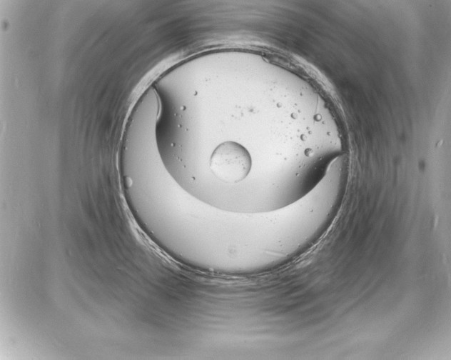 X0000085281338200704092156