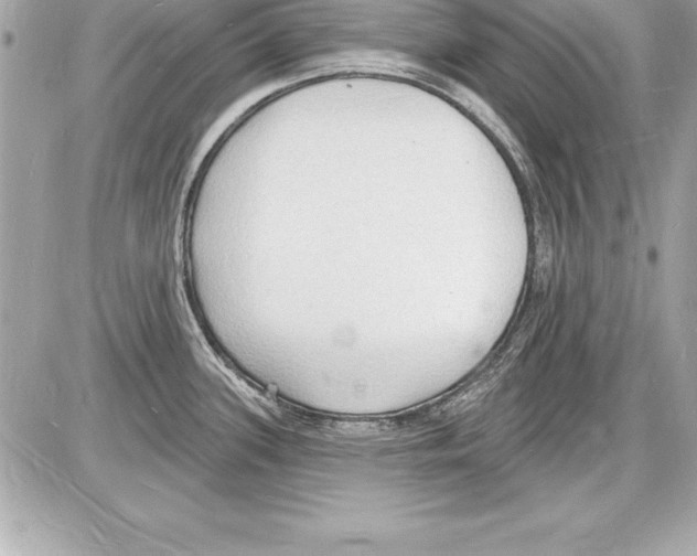 X0000085281339200704092156