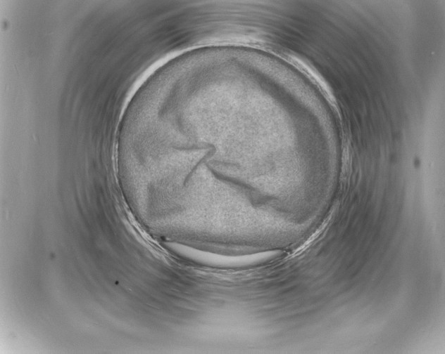 X0000085281340200704092156