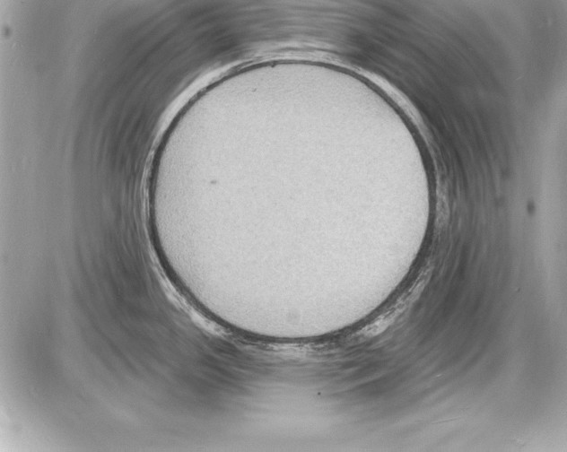 X0000085281341200704092156