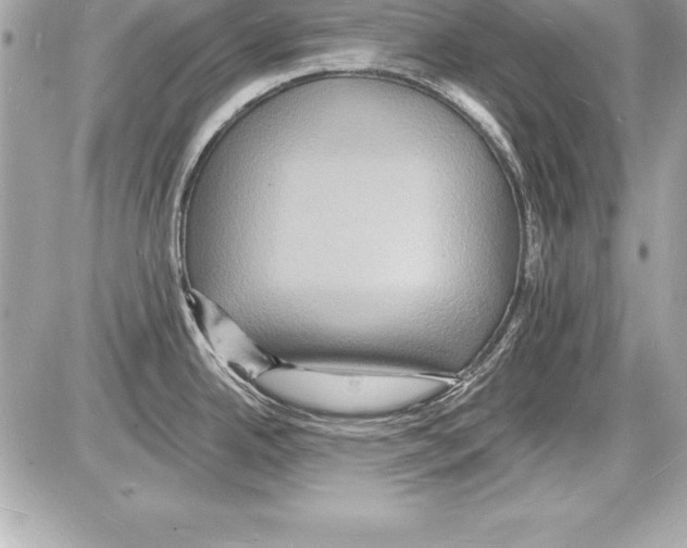 X0000085281342200704092156