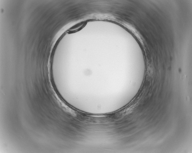 X0000085281343200704092156