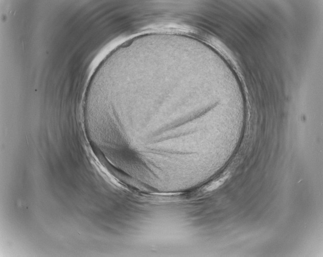 X0000085281344200704092156