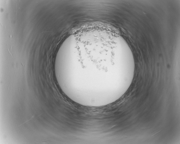 X0000085281345200704092155