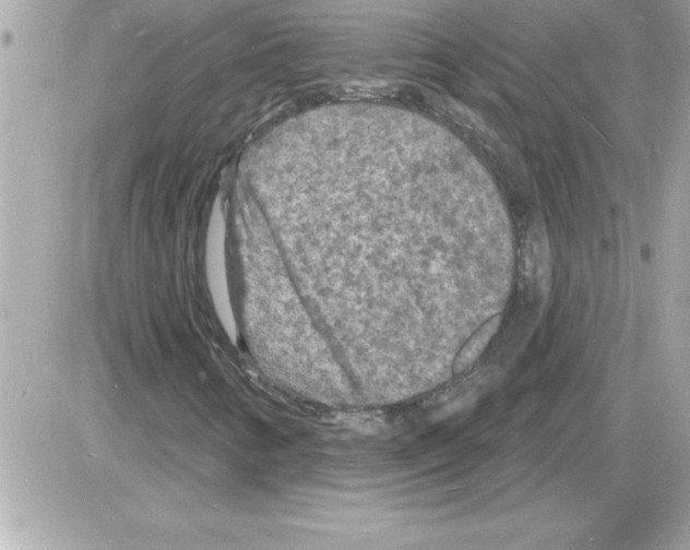 X0000085281346200704092155