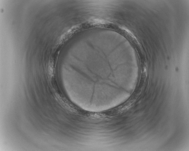 X0000085281348200704092155