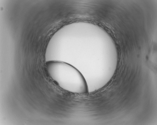 X0000085281349200704092155