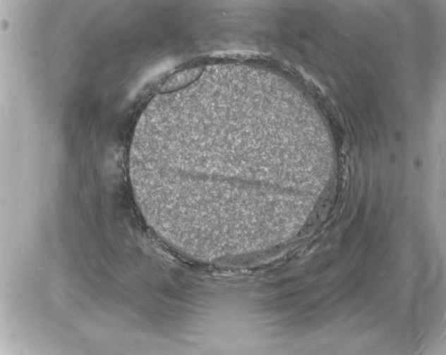 X0000085281351200704092155